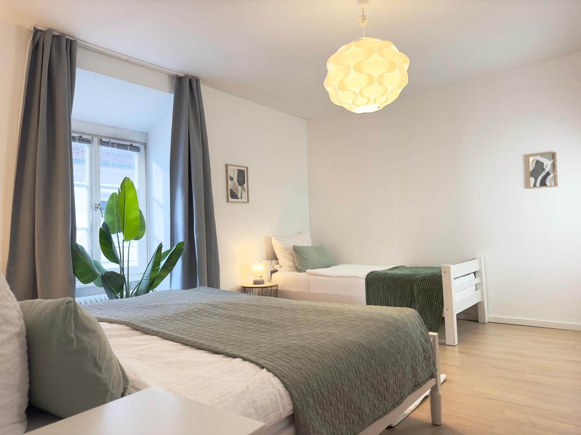 Luxury Old Town Suite - Xxl Terrasse & Xxl Penthouse Хайделберг Екстериор снимка