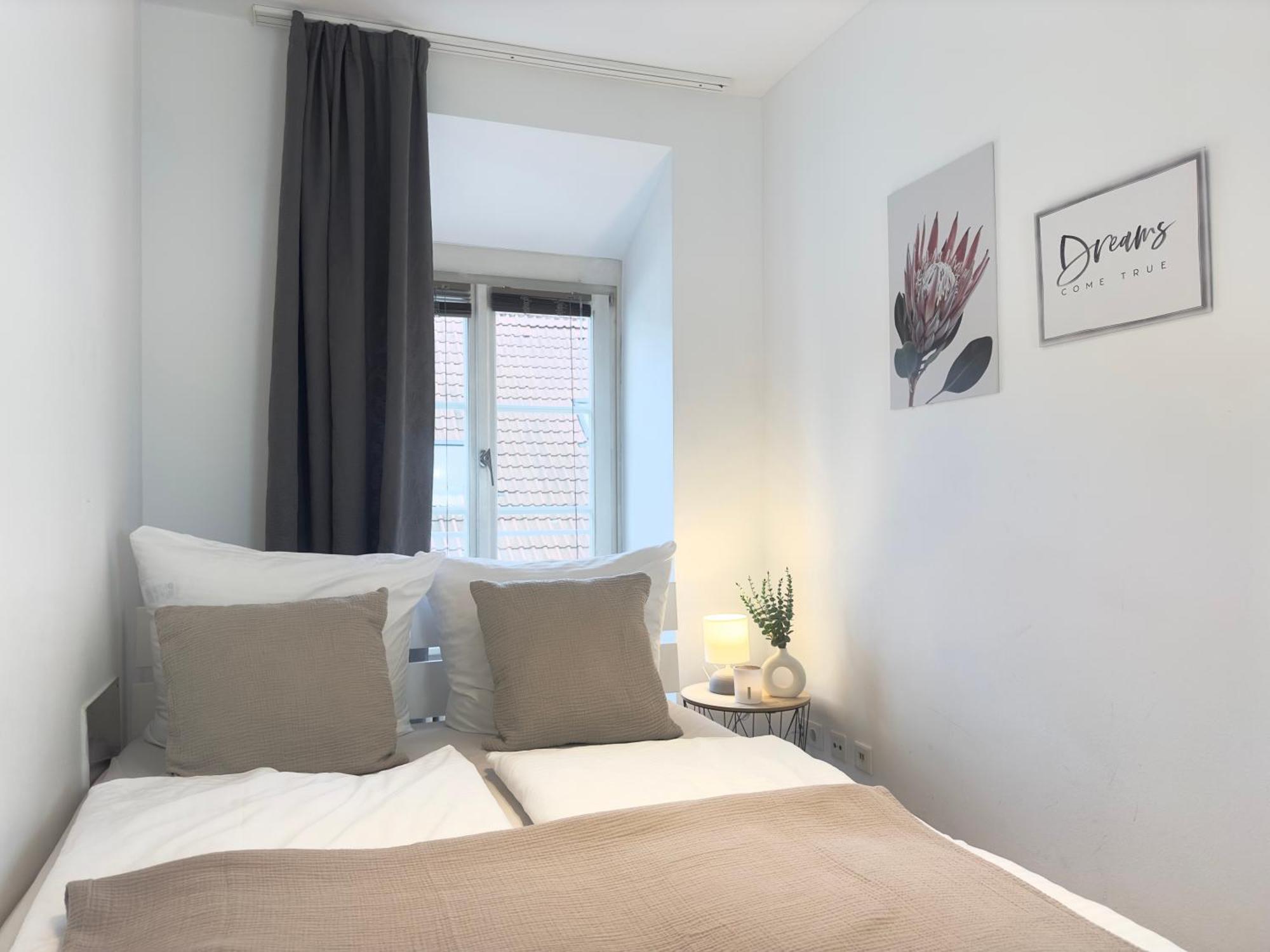 Luxury Old Town Suite - Xxl Terrasse & Xxl Penthouse Хайделберг Екстериор снимка